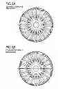 Fig. 08 - Disk motor, electric working machine including disk motor and method for manufacturing disk motor
