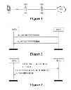 Fig. 02 - RESOURCE PROCESSING METHOD AND DEVICE BASED ON RELAY NODE SWITCHING