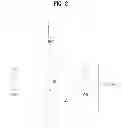 Fig. 03 - METHOD FOR USER EQUIPMENT TRANSMITTING/RECEIVING DATA IN WIRELESS COMMUNICATION SYSTEM AND APPARATUS FOR SAME