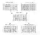 Fig. 01 - Method for joint optimization of schedule and resource allocation based on the genetic algorithm