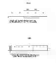 Fig. 06 - Stereoscopic video processor, recording medium for stereoscopic video processing program, stereoscopic imaging device and stereoscopic video processing method