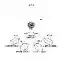 Fig. 08 - Stereoscopic video processor, recording medium for stereoscopic video processing program, stereoscopic imaging device and stereoscopic video processing method