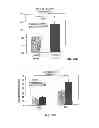 Fig. 35 - Vascular endothelial growth factor 2
