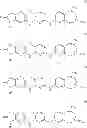 Fig. 20 - Compositions and methods for inhibition of the JAK pathway