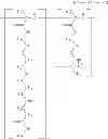 Fig. 07 - Sugar chain fluorescent labeling method