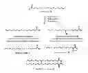 Fig. 01 - Process for preparing saturated branched chain fatty acids