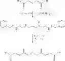 Fig. 64 - Hydrolysable linkers and cross-linkers for absorbable polymers