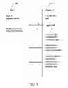 Fig. 04 - Automatic authentication and funding method