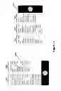 Fig. 87 - Efficient data structures for parsing and analyzing a document