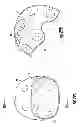 Fig. 22 - Impact energy attenuation system