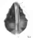 Fig. 06 - Grout - Removing Hand Tool