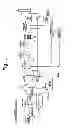 Fig. 02 - Renewable combined cycle low turbine boost