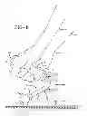 Fig. 07 - ERGONOMIC HAND TOOL AND METHOD OF USE