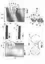 Fig. 02 - Methods for operating window covers