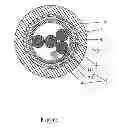 Fig. 02 - CABLE STRUCTURE