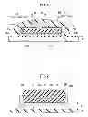 Fig. 02 - Wiring substrate having border portion separating two side metallic foils and manufacturing method of wiring substrate