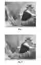 Fig. 02 - METHOD AND APPARATUS FOR ANALYZING STEREOSCOPIC OR MULTI-VIEW IMAGES