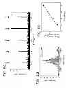 Fig. 09 - Method of measuring a diffusion characteristic value of a particle