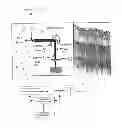 Fig. 01 - Speckle reduction in optical coherence tomography by path length encoded angular compounding
