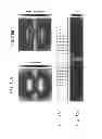 Fig. 22 - Metamaterial Devices with Environmentally Responsive Materials