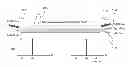 Fig. 01 - Systems and methods for fiber optic parametric amplification and nonlinear optical fiber for use therein