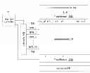 Fig. 01 - Memory access method and flash memory using the same