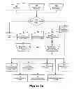Fig. 02 - Method of improving orientation and color balance of digital images using face detection information