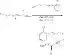 Fig. 131 - Functionalized naphthalene fluorophores
