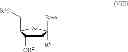 Fig. 40 - METHODS AND COMPOSITIONS FOR TREATING HEPATITIS C VIRUS