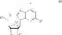 Fig. 44 - METHODS AND COMPOSITIONS FOR TREATING HEPATITIS C VIRUS