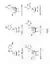Fig. 02 - METHODS AND COMPOSITIONS FOR TREATING FLAVIVIRIDAE INFECTIONS