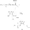 Fig. 1925 - Macrocyclic nucleoside phosphoramidate derivatives