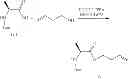 Fig. 1981 - Macrocyclic nucleoside phosphoramidate derivatives