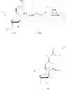 Fig. 2011 - Macrocyclic nucleoside phosphoramidate derivatives
