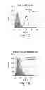 Fig. 02 - ABCB5 positive mesenchymal stem cells as immunomodulators