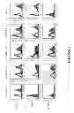 Fig. 02 - THERAPEUTIC AND DIAGNOSTIC METHODS AND COMPOSITIONS TARGETING 4IG-B7-H3 AND ITS COUNTERPART NK CELL RECEPTOR