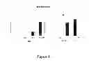 Fig. 04 - Antitumor peptide derived from a complementarity determining region of a humanized monoclonal antibody to NaPi2B transporter