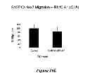 Fig. 22 - Antitumor peptide derived from a complementarity determining region of a humanized monoclonal antibody to NaPi2B transporter