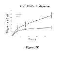 Fig. 28 - Antitumor peptide derived from a complementarity determining region of a humanized monoclonal antibody to NaPi2B transporter