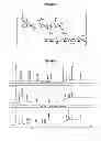 Fig. 07 - COMPOUNDS