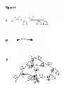 Fig. 02 - CYCLODEXTRIN-BASED MATERIALS, COMPOSITIONS AND USES RELATED THERETO