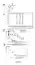 Fig. 02 - Methods and compositions for the treatment of cancer
