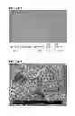 Fig. 08 - Parenteral composition comprising microspheres with a diameter between 10 and 20 microns