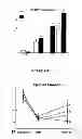 Fig. 15 - Parenteral composition comprising microspheres with a diameter between 10 and 20 microns