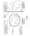 Fig. 13 - Compositions and methods for stabilizing susceptible compounds