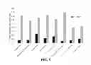 Fig. 07 - PARTICLES, COMPOSITIONS AND METHODS FOR OPHTHALMIC AND/OR OTHER APPLICATIONS