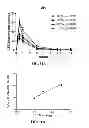 Fig. 40 - PARTICLES, COMPOSITIONS AND METHODS FOR OPHTHALMIC AND/OR OTHER APPLICATIONS