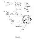 Fig. 02 - MULTICOMPARTMENTALIZED VESICULAR STRUCTURE AND A METHOD FOR FORMING THE SAME