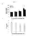 Fig. 02 - Methods for Repairing Cartilage