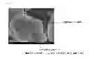 Fig. 02 - Positive electrode active material for lithium ion batteries, positive electrode for lithium ion batteries, and lithium ion battery